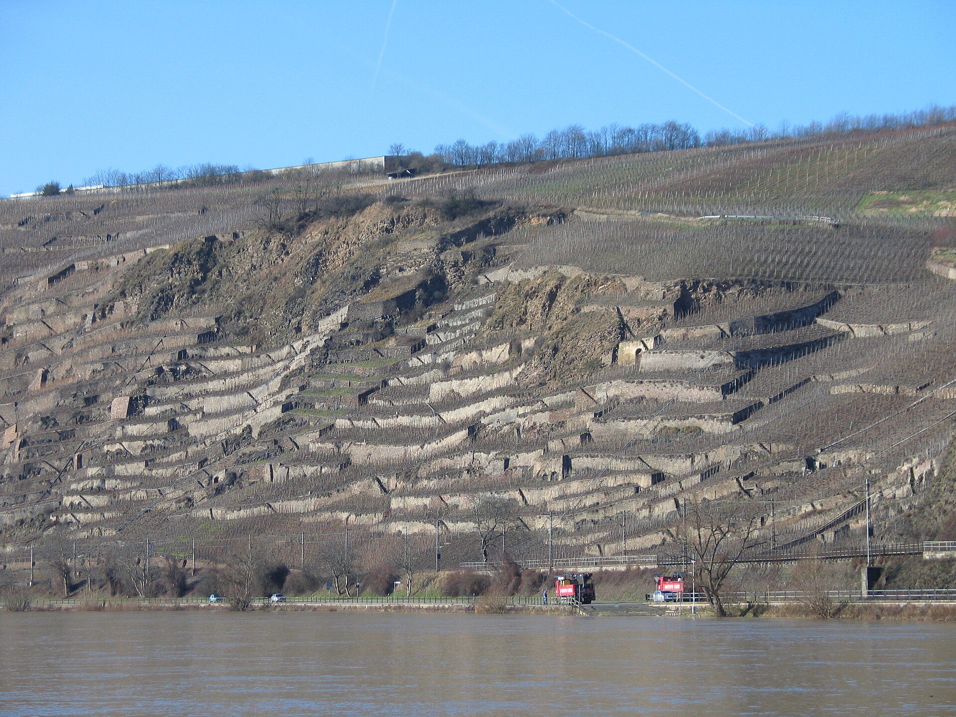Traditionelle Weinbauterrassen bei Winningen (Untermosel) Traditionelle Weinbauterrassen bei Winningen (Untermosel)