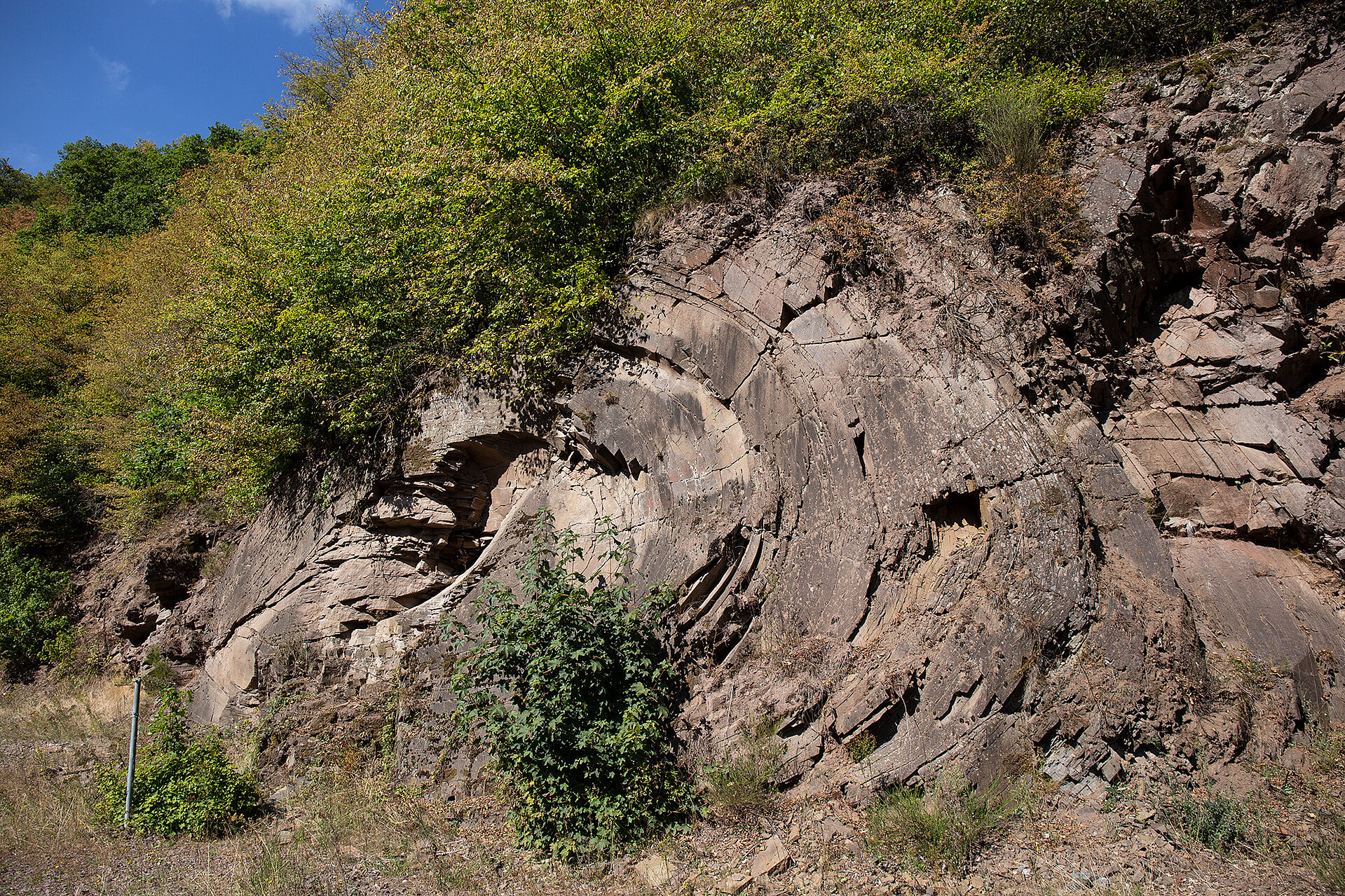 Der Geotop Brandmühler Lavastrom ist ein Naturdenkmal.