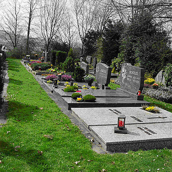 Friedhof Beratung im Rahmen von Erweiterungen und Neuanlagen von Friedhöfen und Friedwäldern