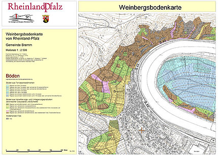 Digitale Weinbergsbodenkarte Gemeinde Bremm - Böden Digitale Weinbergsbodenkarte Gemeinde Bremm - Böden