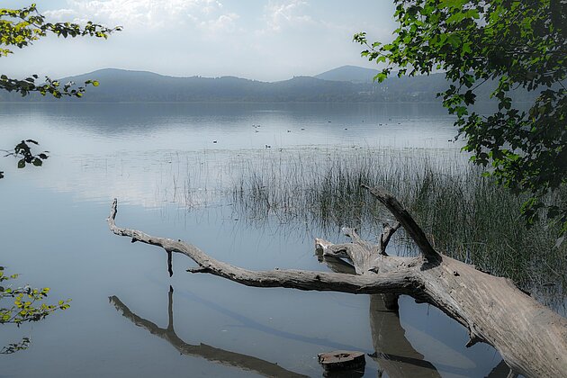 Erdbebenschwarm im Bereich des Laacher Sees