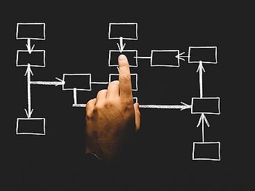 Organisation Organisation