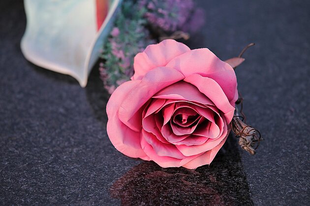 Nachruf auf Franz Wolf