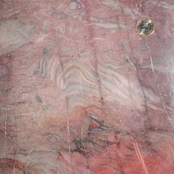 Musterplatte der Lahnmarmorvarietät Edelfels aus Diez. Rohstoffgeologische Untersuchungen an Lahnmarmor