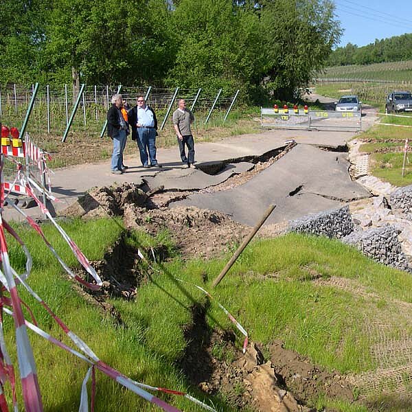 Rutschung bei Bad Bergzabern, 2010 (Foto: M. Alberti,17.05.2010) Rutschungsdatenbank Rheinland-Pfalz
