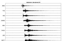 Seismogramme ausgewählter Erdbebenmessstationen.