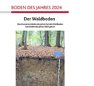 Der Waldboden