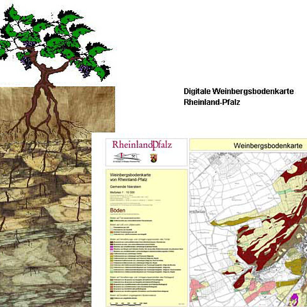 Digitale Weinbergsbodenkarte Rheinland-Pfalz Digitale Weinbergsbodenkarte Rheinland-Pfalz