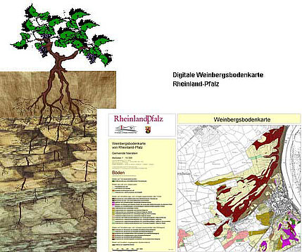 Digitale Weinbergsbodenkarte Rheinland-Pfalz Digitale Weinbergsbodenkarte Rheinland-Pfalz