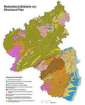 Lage der Profilpunkte mit Bodenphysikdaten in Rheinland-Pfalz.