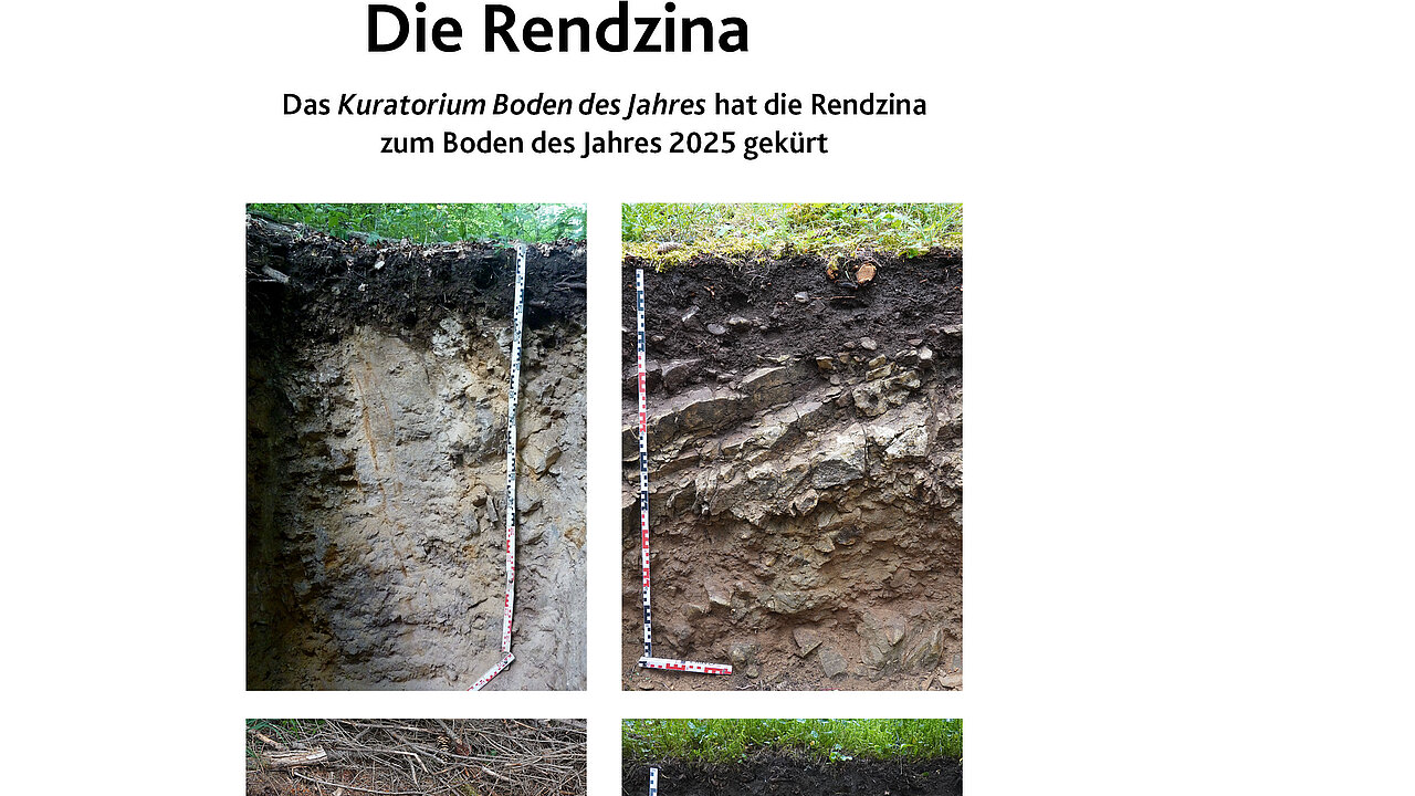 Boden des Jahres 2025