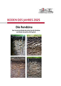 Boden des Jahres 2025 ist die Rendzina