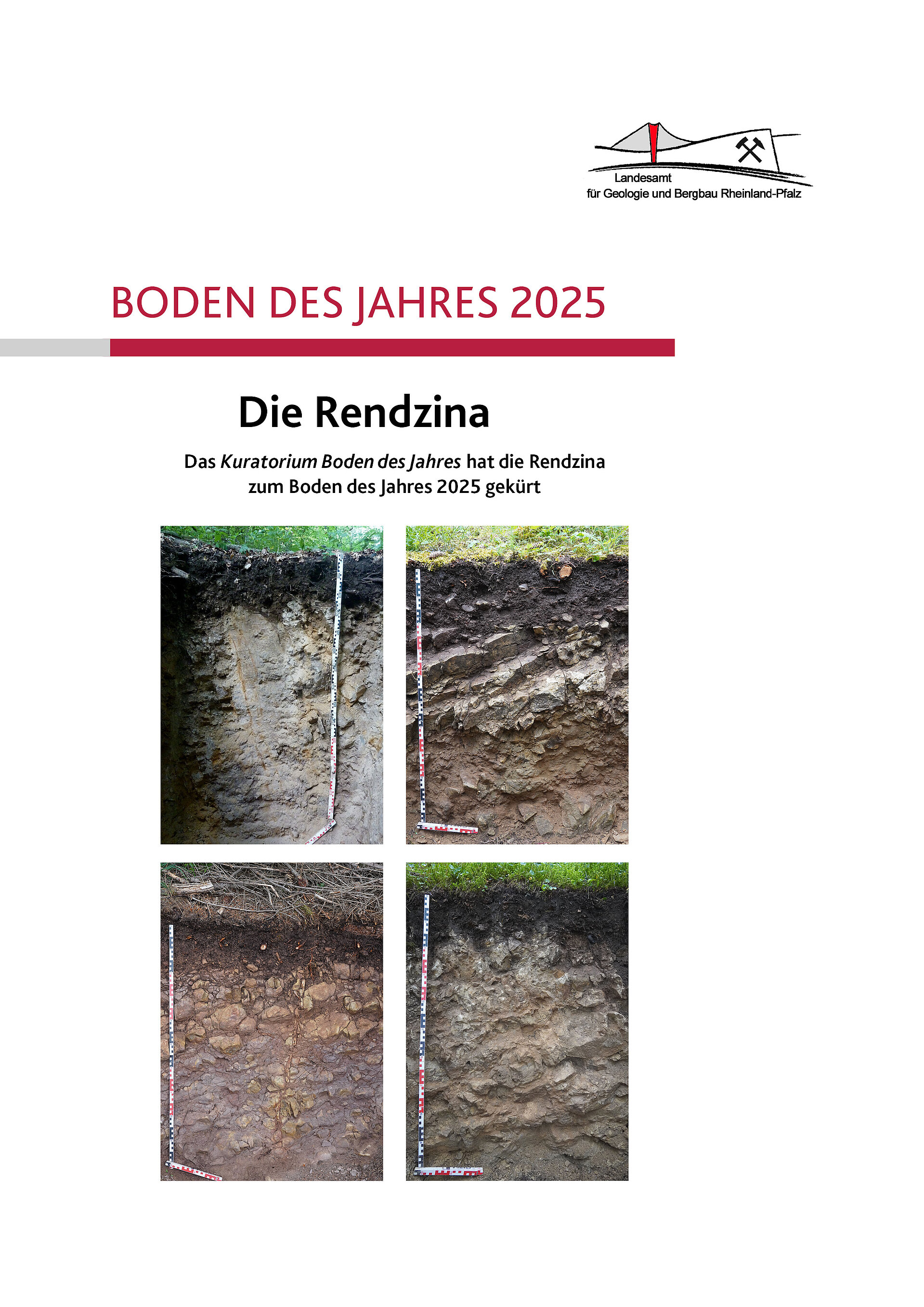 Boden des Jahres 2025