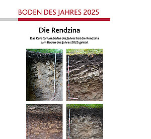 Boden des Jahres 2025