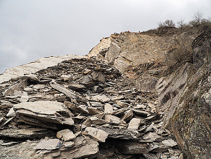Teilansicht der Sturzmasse. Teilansicht der Sturzmasse.