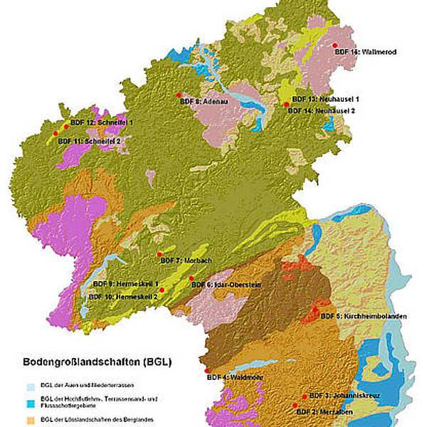 Lage der forstlichen Bodendauerbeobachtungsflächen in Rheinland-Pfalz Statusbeprobung von Bodendauerbeobach-tungsflächen in Rheinland-Pfalz