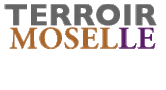Terroir Moselle Terroir Moselle