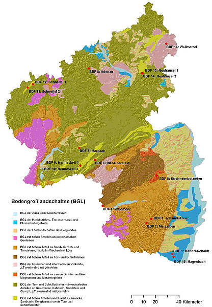 Lage der forstlichen Bodendauerbeobachtungsflächen in Rheinland-Pfalz Lage der forstlichen Bodendauerbeobachtungsflächen in Rheinland-Pfalz
