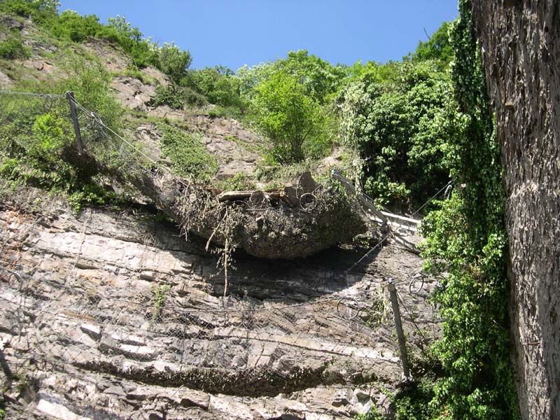 Felssturz in Rückhaltezaun bei Bad Ems, 2009 (Foto: M. Alberti, 20.05.2009)