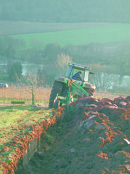 Rigolen eines Weinbergs Rigolen eines Weinbergs
