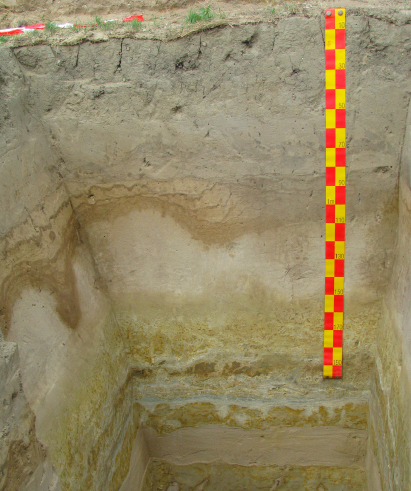 Boden des Jahres 2026 ist der Archivboden