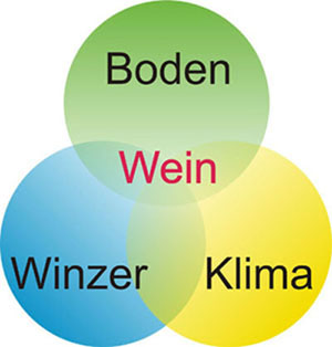 Zusammenspiel von Boden, Klima und Winzer Zusammenspiel von Boden, Klima und Winzer