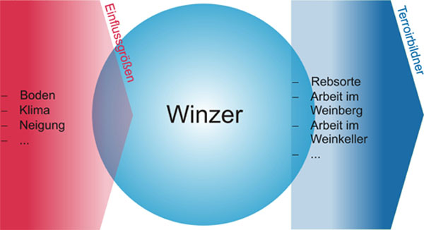 Einflussfaktor Winzer Einflussfaktor Winzer