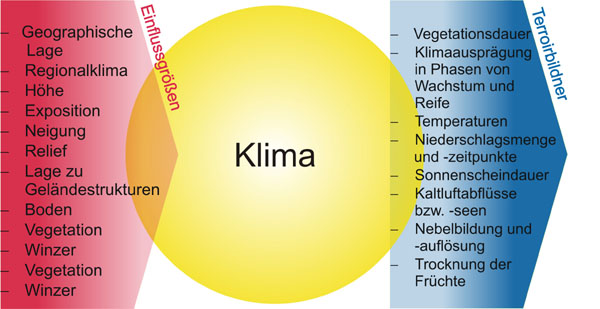 Einflussfaktor Klima Einflussfaktor Klima