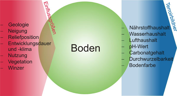 Einflussfaktor Boden Einflussfaktor Boden